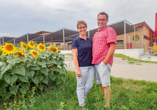 Irène und Stephan Furrer halten seit einigen Jahren 400 Kräuterschweine